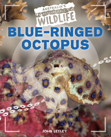 Blue-Ringed Octopus