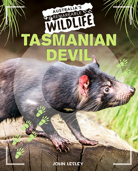 Tasmanian Devil