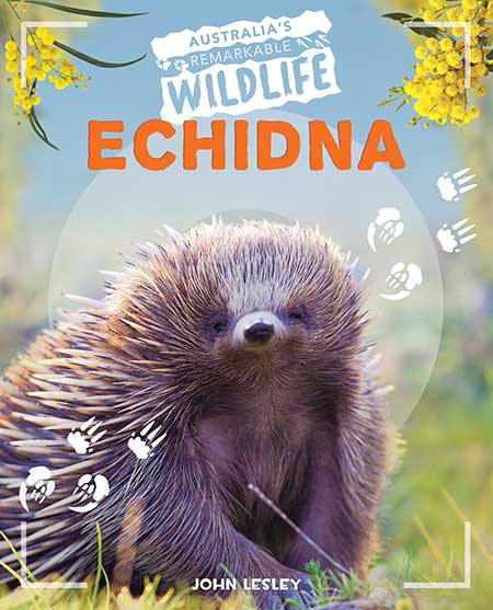 Echidna