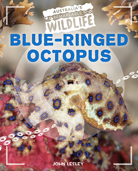 Blue-Ringed Octopus