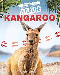 Kangaroo