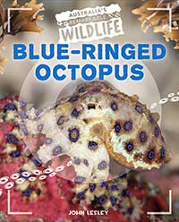 Blue-Ringed Octopus